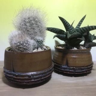 http://www.bartjaspers.nl/files/gimgs/th-17_IMG_3849.jpg