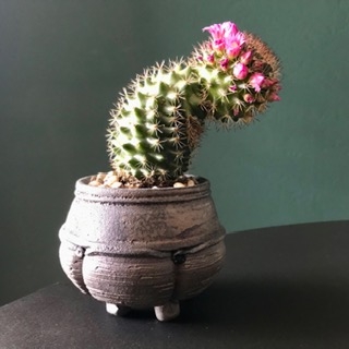 http://www.bartjaspers.nl/files/gimgs/th-17_IMG_4006.jpg